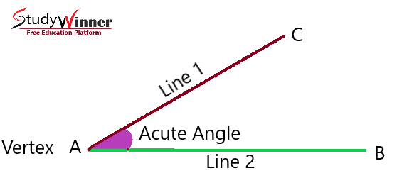 Acute angle example